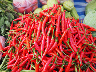 Fresh chili pepper sale on the market.