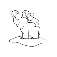 cartoon koalas icon over white background vector illustration