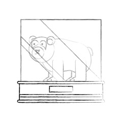 museum showcase with bear icon over white background vector illustration