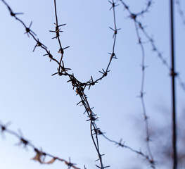 barbed wire on blue sky background