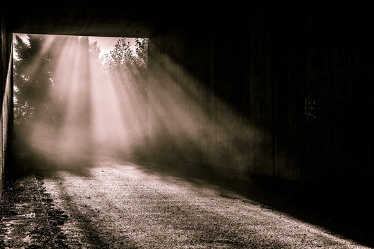Sonne zeichnet Sonnenstrahlen in die Nebelschwaden am Tunnelende