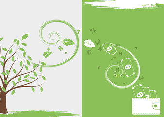 Accountancy background