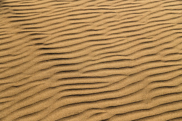 Sand in the desert as a background