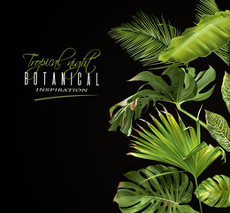 Tropical night banner © purplebird