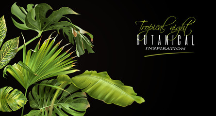 Tropical night horizontal banner © purplebird
