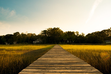 wooden pier in south carolina low country marsh at sunset with green grass - obrazy, fototapety, plakaty
