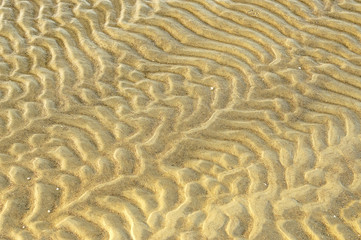 Sandy background sea coast. 