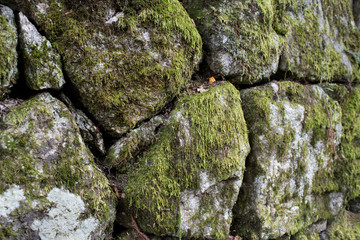 Japan Castle Foundation stone Pieces / Part of the foundation that supports the castle