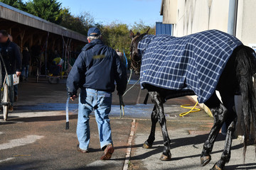 cheval de course