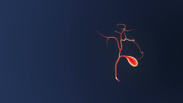 Gallbladder