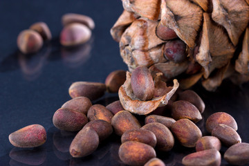 Кедровый орех,макро.