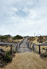 Fototapeta na wymiar Wooden path to the beach