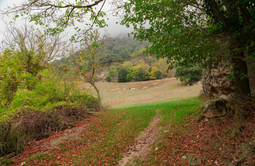 The natural park of Urederra autumnal, Spain