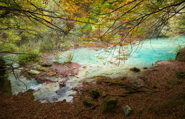 The natural park of Urederra autumnal, Spain