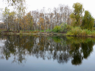 Fototapeta na wymiar Autumn landscape with colorful forest, lake and reflectio