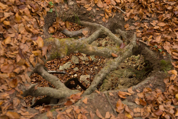 The natural park of Urederra autumnal, Spain