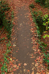 The natural park of Urederra autumnal, Spain