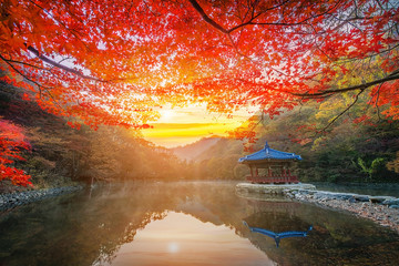 Autumn in Naejangsan Park,korea.