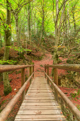 The natural park of Urederra autumnal, Spain