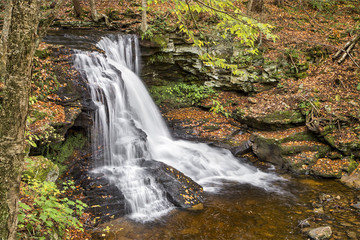 Fototapeta premium Autumn at Dry Run Falls in Loyalsock State Forest, Pennsylvania