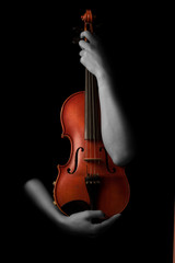 Violin and musician hands