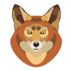 vector illustration of a cute Fox on white background