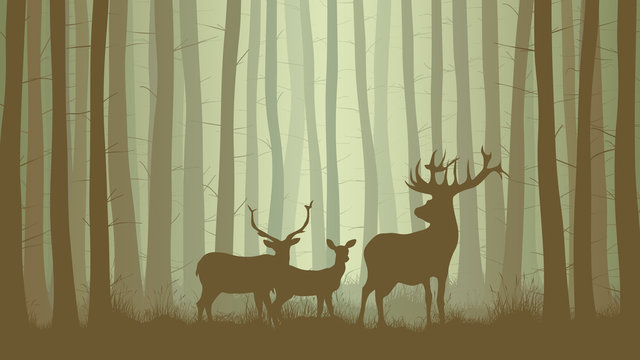 Horizontal illustration of misty coniferous forest with family deer.