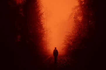 horror landscape, man walking in dark forest