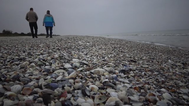 A wide beach on the Black Sea coast, people walk along a wide bea