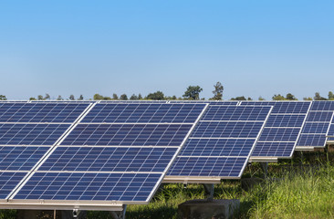 Close up rows of array polycrystalline silicon solar cells in solar power plant turn up skyward absorb the sunlight from the sun use light energy to generate electricity