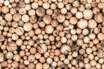 Geschnittene Rundhölzer