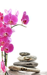 Fototapeta na wymiar orchid and 2018 written on pebbles stacked on white background