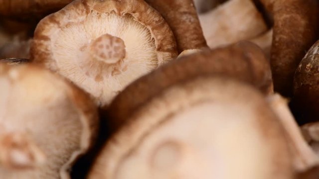 Shiitake mushrooms rotating on a wooden plate as seamless loopable 4K UHD footage