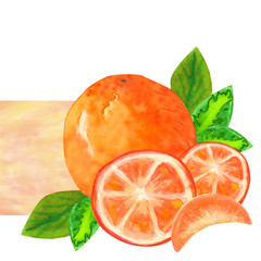 watercolor orange with leaves and slices