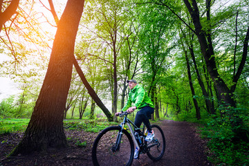 Naklejka premium bicycle in the woods