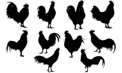 Rooster Silhouette Vector Graphics
