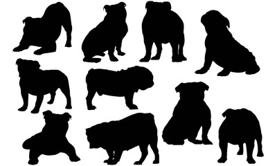 Bulldog photos, royalty-free images, graphics, vectors & videos | Adobe
