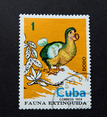 Lviv Ukraine - September 18, 2017; The Cuban postage stamp depicting an extinct bird dodo