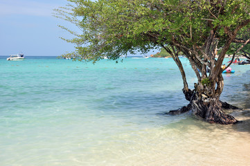 Thailand. Beach on the island