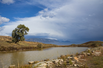Greek landscape with tree and pond