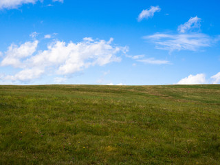 Green meadow and blue sky