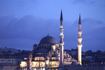 Fototapeta na wymiar Yeni Camii / ISTANBUL