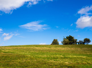 Green meadow and blue sky