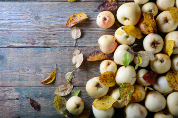 Ripe apples with fallen leaves .