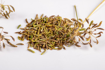 Fennel seeds on white background, selective focus
