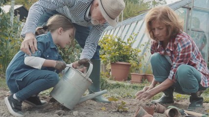 Senior couple with grandaughter gardening in the backyard garden - Powered by Adobe