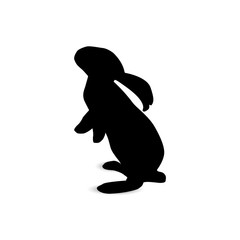 Silhouette of standing hare.
