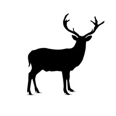 Silhouette of looking deer.