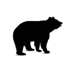 Obraz na płótnie Canvas Silhouette of brown bear.