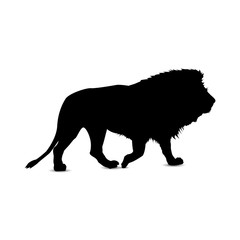 Silhouette of lion. Profile.